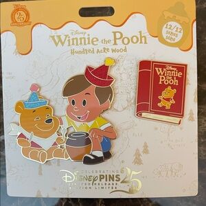 Disney Winnie the Pooh hundred acre wood December pin New Condition
